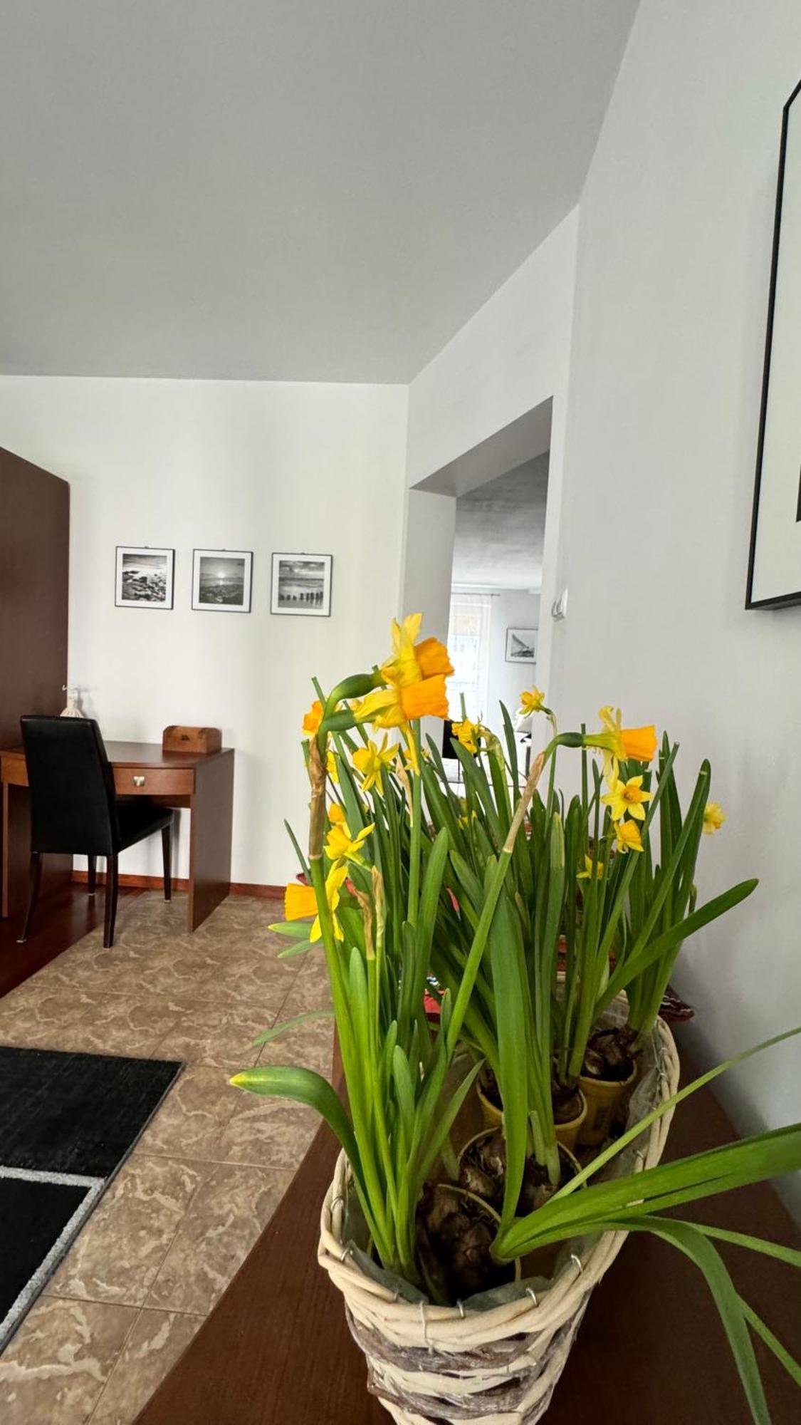 Apartament Rodzinny Kołobrzeg Buitenkant foto