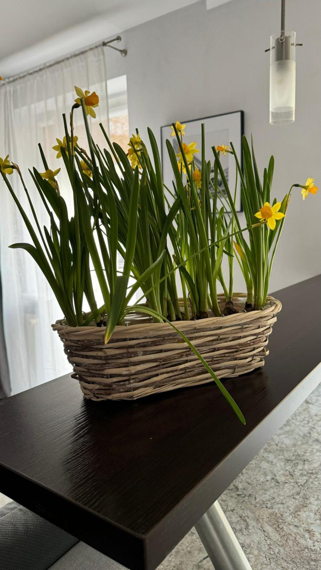 Apartament Rodzinny Kołobrzeg Buitenkant foto